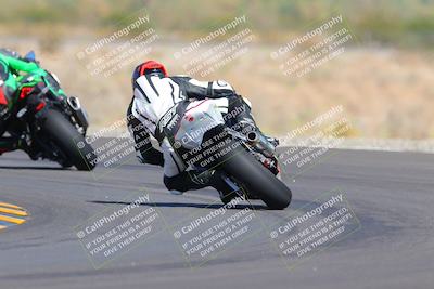 media/Oct-09-2022-SoCal Trackdays (Sun) [[95640aeeb6]]/Turn 14 Backside (1125am)/